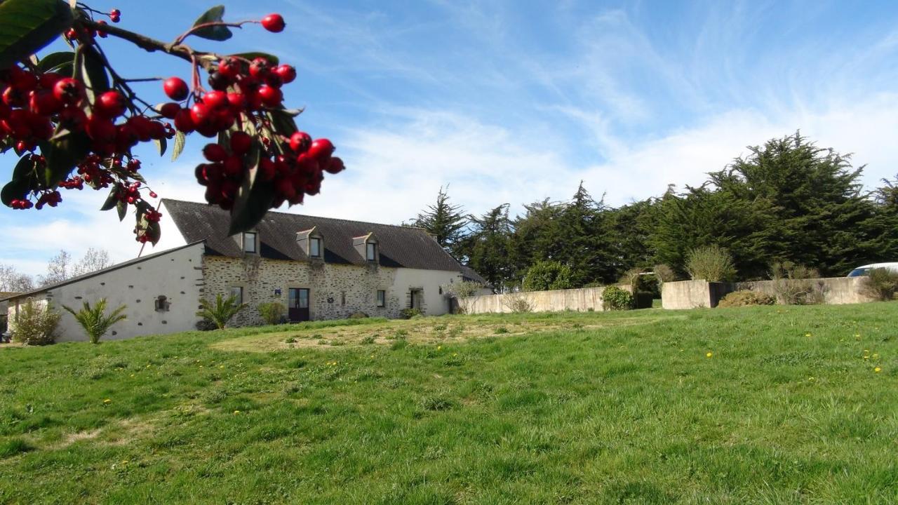 Le Colombier De Kerguezec Bed and Breakfast Surzur Buitenkant foto